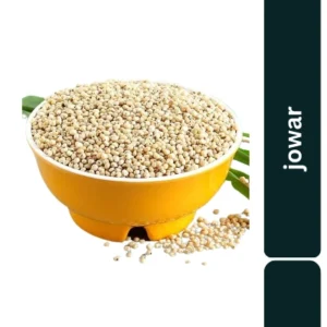 Jawar Seeds