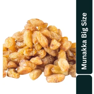 Munnaka Big Size