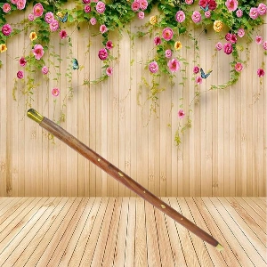 Aagam Crafts Sheesham Wood Walking Stick hand made With Handmade Brass Top