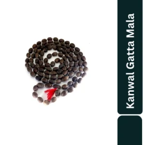 Aagam Stuti Mala Kamal Gatta