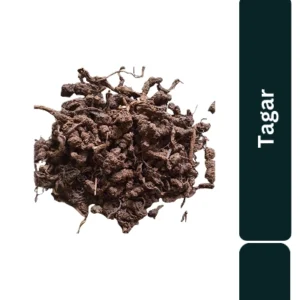 Tagar