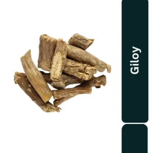 Giloy