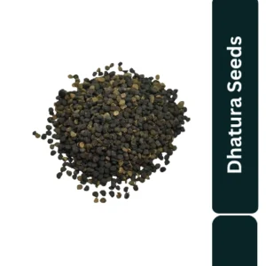 Dhatura Seed For Pooja