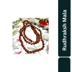 Aagam Stuti Mala Rudraksh Big