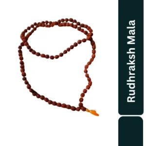 Aagam Stuti Mala Rudraksh Small